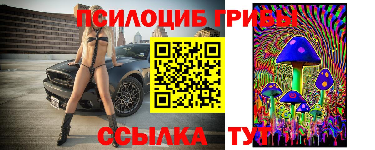 Галлюциногенные грибы Psilocybine cubensis Ишимбай