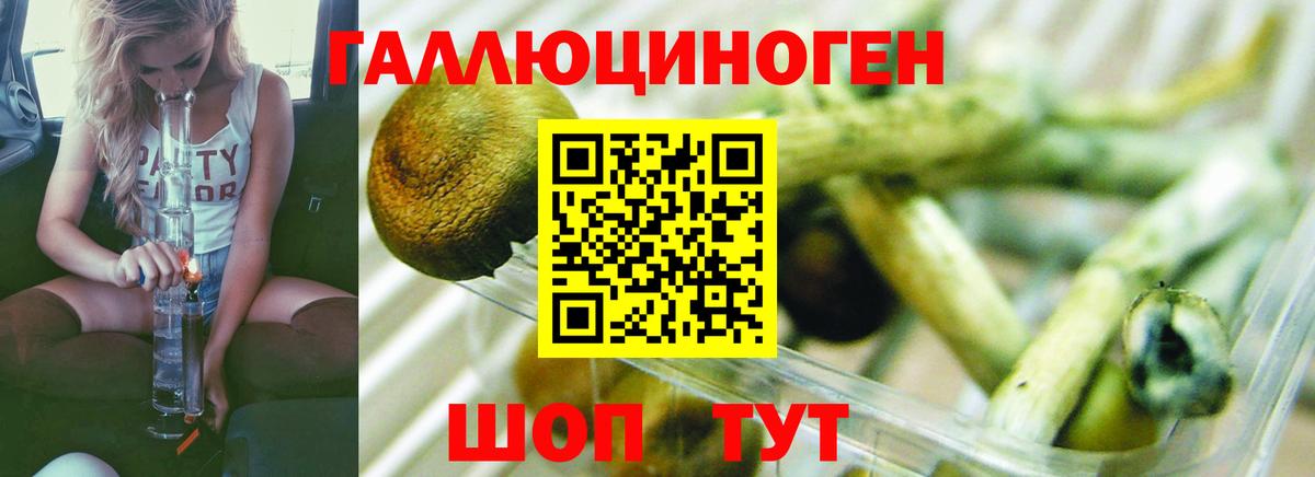 Галлюциногенные грибы ЛСД  купить закладку  Ишимбай  Псилоцибиновые грибы Magic Shrooms  Вход с VPN 